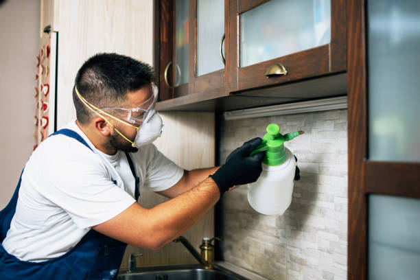 Best Commercial Pest Control Services  in Logan, UT