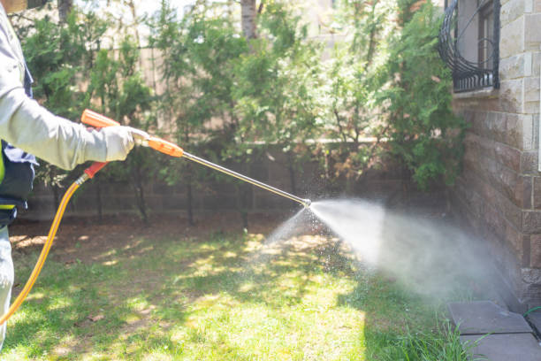 Best Rodent Control Near Me  in Logan, UT